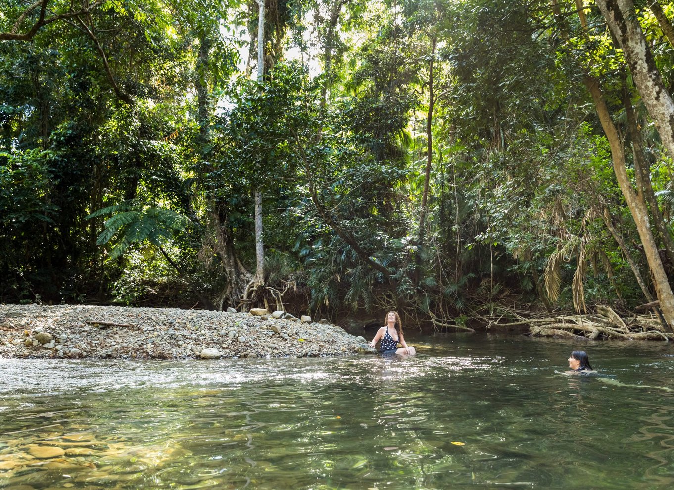 Fra Cairns: Daintree Rainforest & Cape Tribulation 4WD-tur