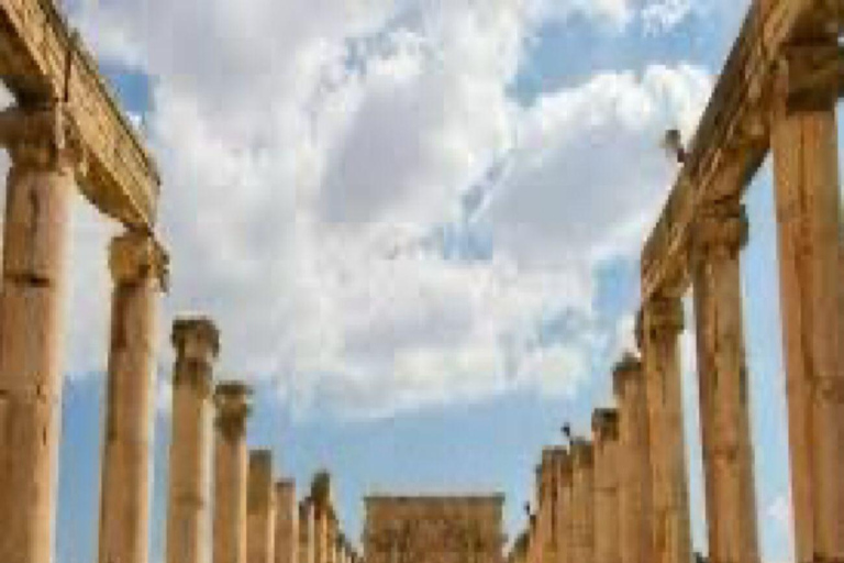 Excursão de meio dia: Jerash saindo de Amã.Excursão de meio dia: para Jerash saindo de Amã