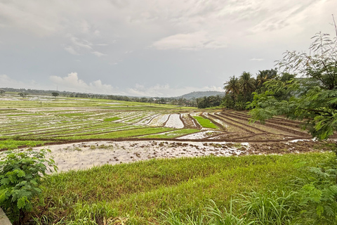 Yogyakarta: tour del Palazzo del Sultano, Borobudur e tramontoYogyakarta: Palazzo del Sultano, Borobudur e tour al tramonto