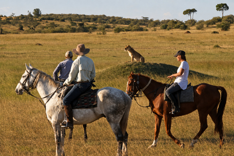 Arusha: Arusha National Park Horseback Safari with Lunch
