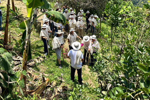Coffee and Exotic Fruit Tour from Medellín with Lunch Coffee and Exotic Fruit Tour from Medellín with Lunch.