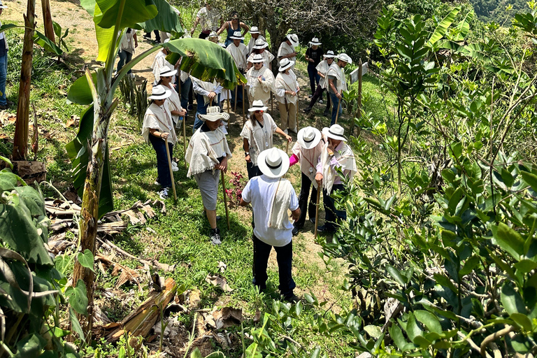 Coffee and Exotic Fruit Tour from Medellín with Lunch Coffee and Exotic Fruit Tour from Medellín with Lunch.