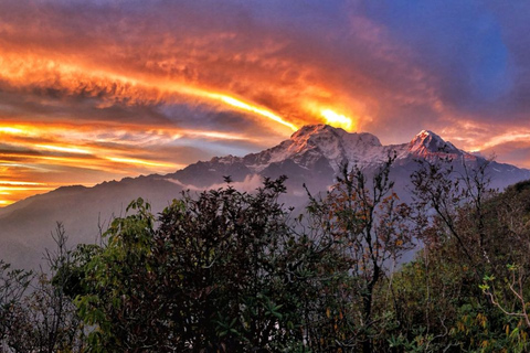 Mardi Himal Trek: 5 Days Mardi Trek From Pokhara