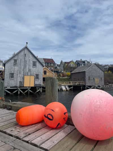 Peggys Cove, Lunenburg E Mais Da Costa Sul! | GetYourGuide