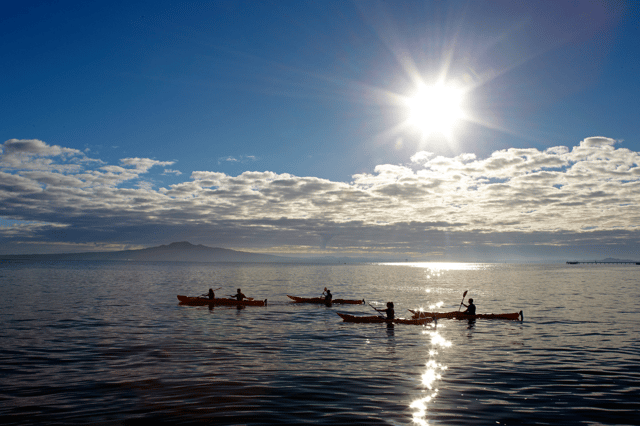 Rangitoto Island: Sea Kayak & Summit Hike Day Trip