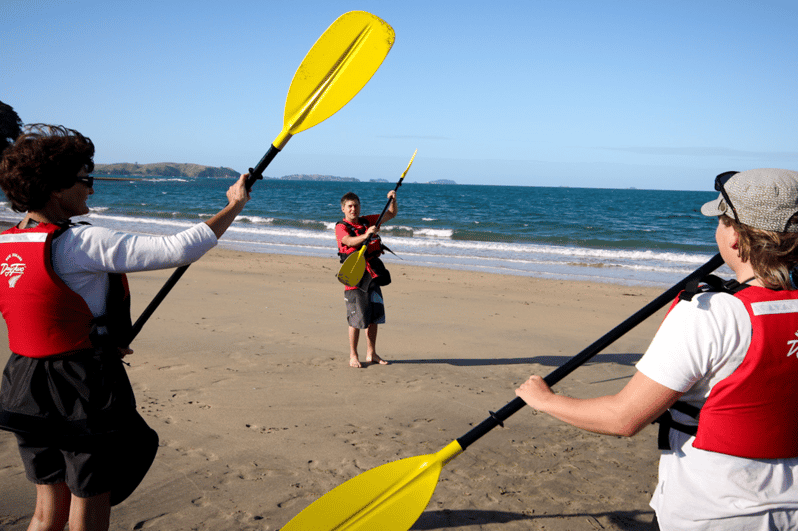 Rangitoto Island Sea Kayak & Summit Hike Day Trip GetYourGuide