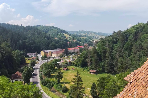 From Brașov: Bear Sanctuary, Dracula's Castle & Peleș Castle
