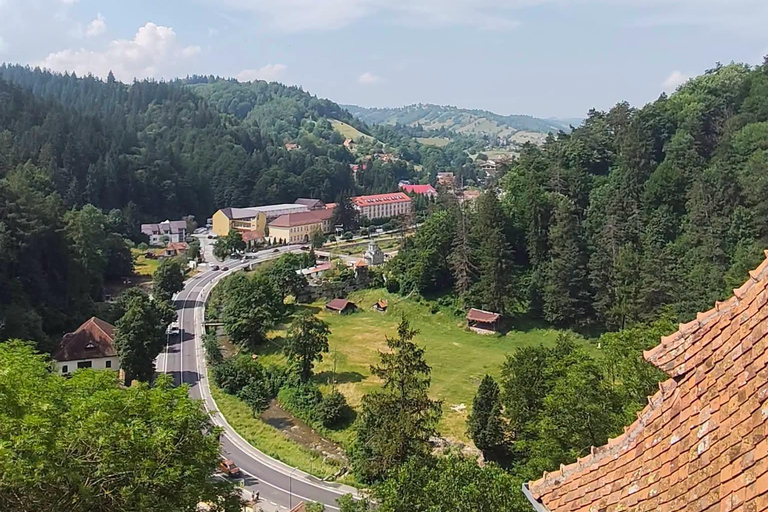 From Brașov: Bear Sanctuary, Dracula's Castle & Peleș Castle