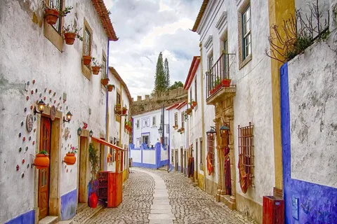 Da Lisbona: Tour privato di mezza giornata di Óbidos e Nazaré