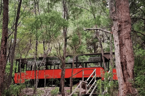 Pemberton: Iconic Heritage Tram Tour One Way Tram Tour