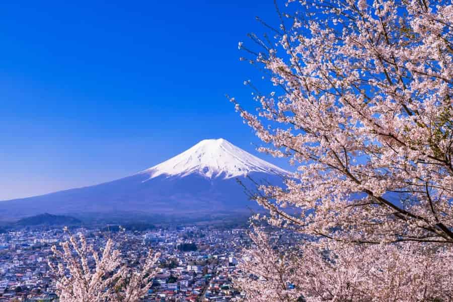 Tagestour zum Berg Fuji ab Tokio: Sechs Instagram-würdige Orte. Foto: GetYourGuide