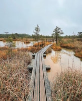 Kemeri National Park Guided Tour - Housity