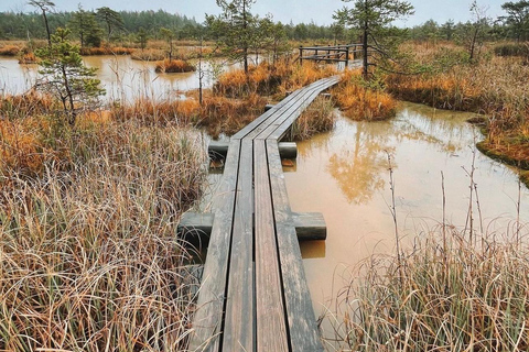 Paysages lettons : Visite guidée de Kemeri et Jurmala