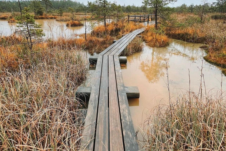 Paysages lettons : Visite guidée de Kemeri et Jurmala