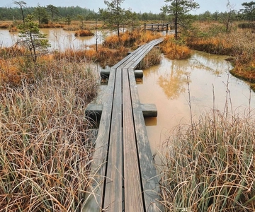 Kemeri National Park Guided Tour