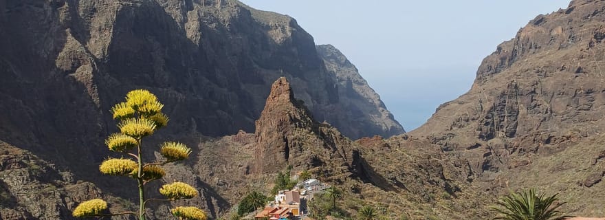 Ténérife : Masca, Los Gigantes, piscines naturelles et pique-nique