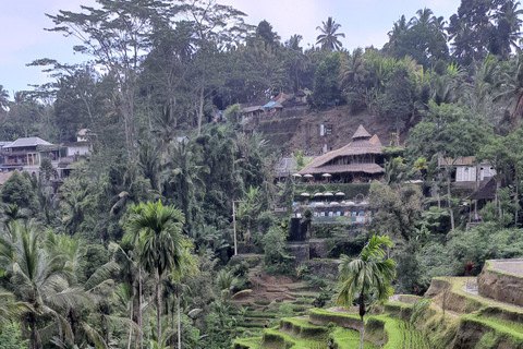 Tanah lot, tempio del lago Beratan, terrazza di riso di JatiluwihTour di Bedugul