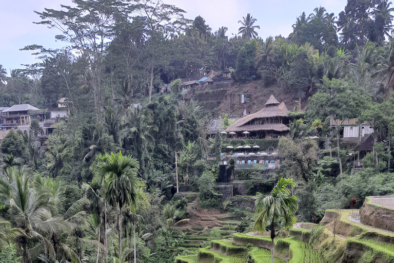 Tanah lot, tempio del lago Beratan, terrazza di riso di JatiluwihTour di Bedugul
