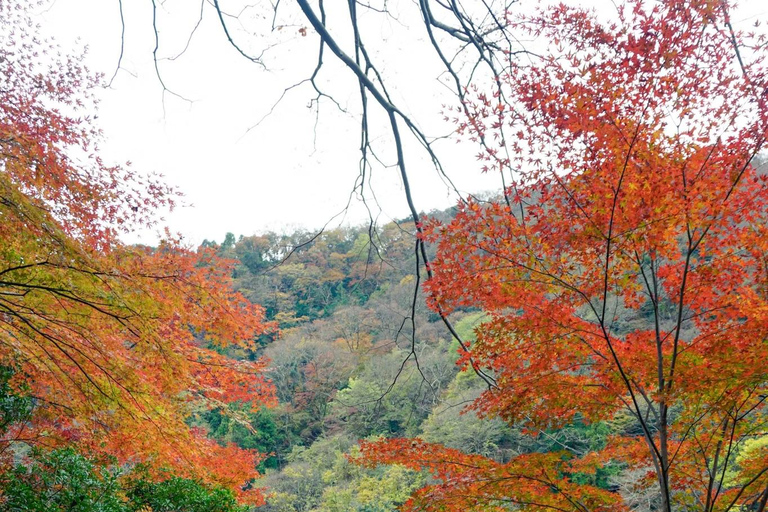 Kyoto: Arashiyama Day Tour with Train, Boat, and Onsen