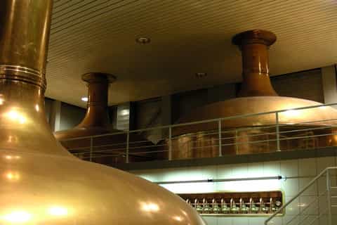 5-Hour Poznan City and Brewery Tour