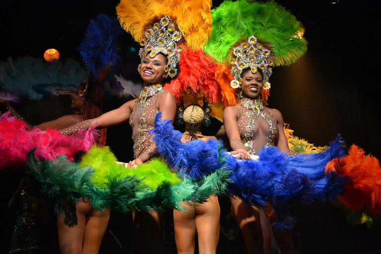 Rio de Janeiro : Entrée au spectacle de samba et transfertEntrée du spectacle de samba