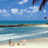 from joão pessoa fullday southern coast beaches tour
