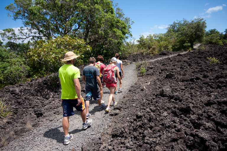 Auckland: Solnedgångs- och nattutflykt med havskajak till Rangitoto IslandAuckland: Solnedgång och kvällstur med havskajak till Rangitoto Island