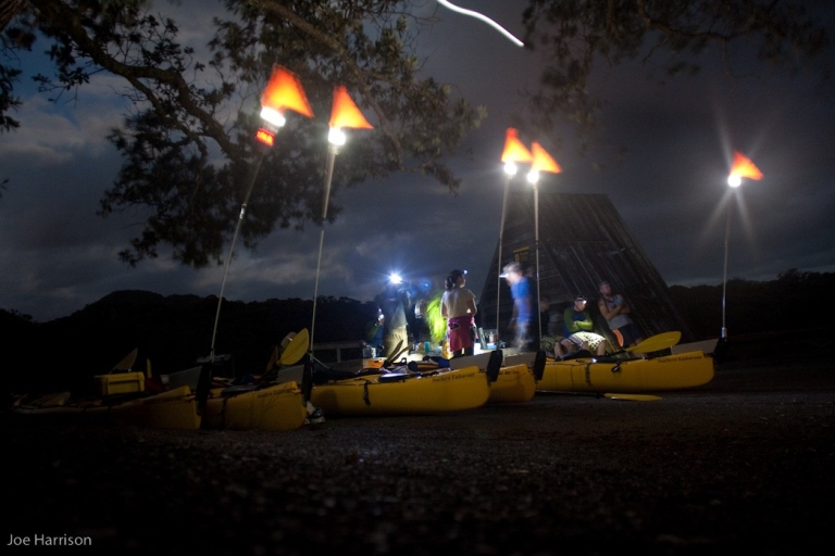 Auckland: tour en kayak de mar al atardecer y de noche a la isla de RangitotoExcursión en kayak de mar desde el atardecer hasta la noche a la isla de Rangitoto