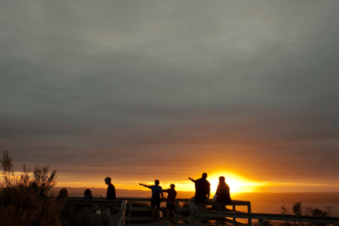 Auckland: Solnedgångs- och nattutflykt med havskajak till Rangitoto IslandAuckland: Solnedgång och kvällstur med havskajak till Rangitoto Island