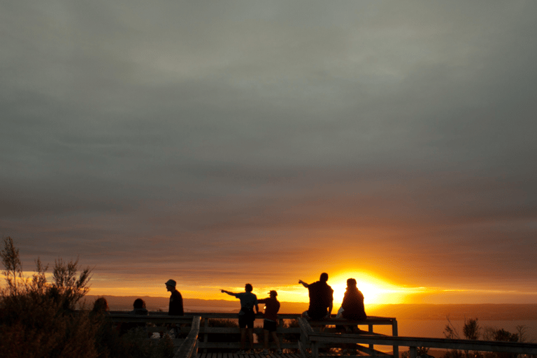 Auckland: Passeio de caiaque no mar ao pôr do sol e à noite na Ilha RangitotoAuckland: Tour noturno e ao pôr do sol em caiaque na Ilha Rangitoto