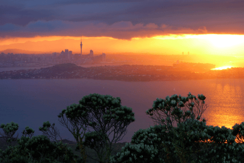 Auckland: tour en kayak de mar al atardecer y de noche a la isla de RangitotoExcursión en kayak de mar desde el atardecer hasta la noche a la isla de Rangitoto