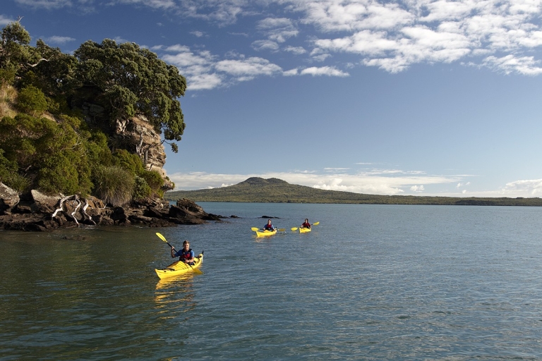 Auckland: Półdniowa wycieczka kajakiem morskim na wyspę Motukorea