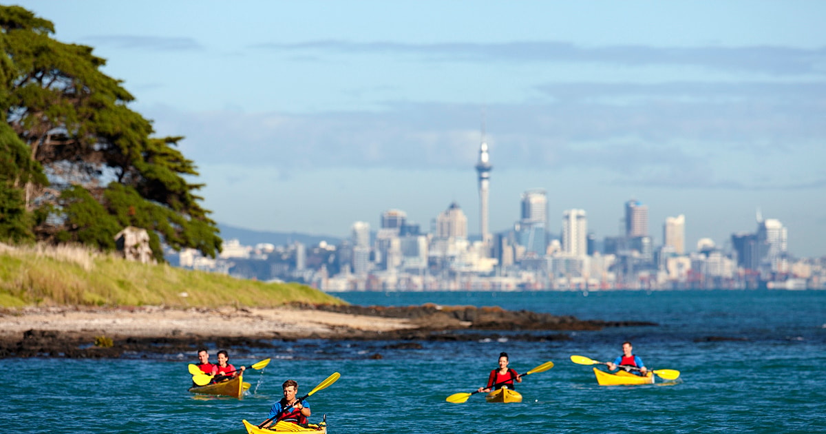 Auckland HalfDay Sea Kayak Tour to Motukorea Island GetYourGuide