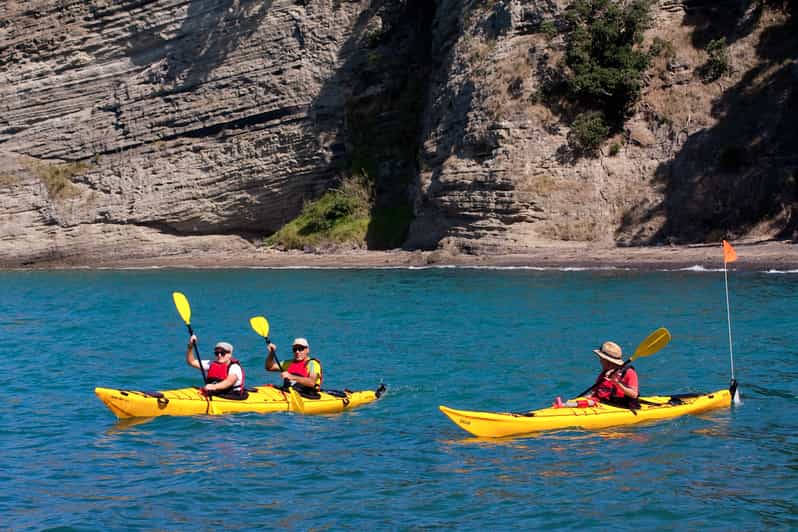 Auckland HalfDay Sea Kayak Tour to Motukorea Island GetYourGuide