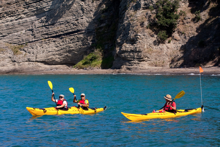 Auckland: excursion d'une demi-journée en kayak de mer sur l'île de Motukorea