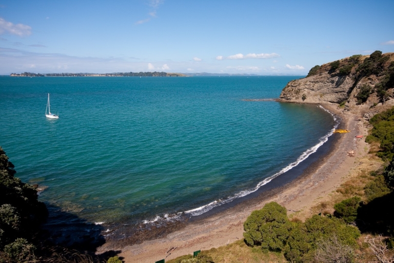 Auckland: Halbtägige Seekajaktour zur Motukorea-Insel