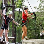 Tamborine Mountain: High Ropes and Ziplines Adrenaline Pass