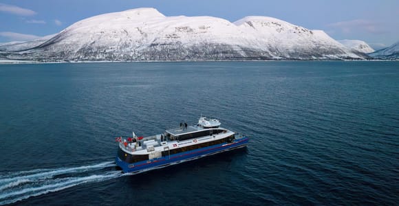 Tromsø: Whale Watching Safari on High-Speed Catamaran