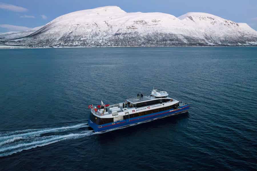 Von Tromsø aus: Walbeobachtungs-Safari auf dem Hochgeschwindigkeits-Katamaran. Foto: GetYourGuide