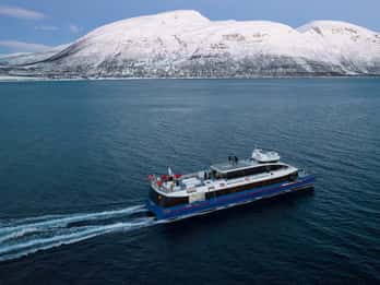 Whale Watching by High-Speed Catamaran