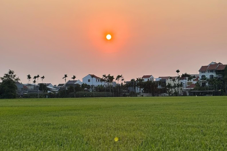 Hoi An Bike Tour: Stress Relief w Buffalo,Duck & Basket Boat E-Car Sightsee Private Tour: Explore the Insider’s Route