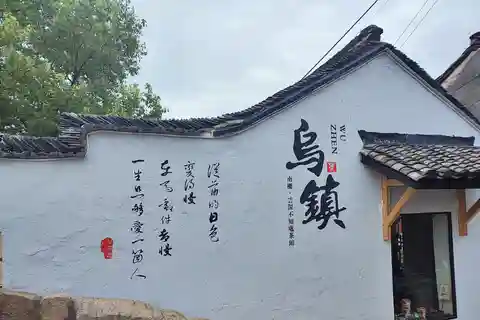 From Shanghai: Private Day Tour to Wuzhen Water Town