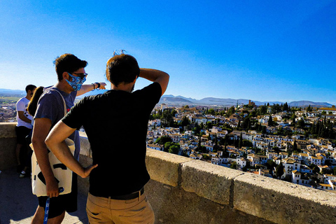 Granada: Tour privado completo de la Alhambra con los Palacios Nazaríes