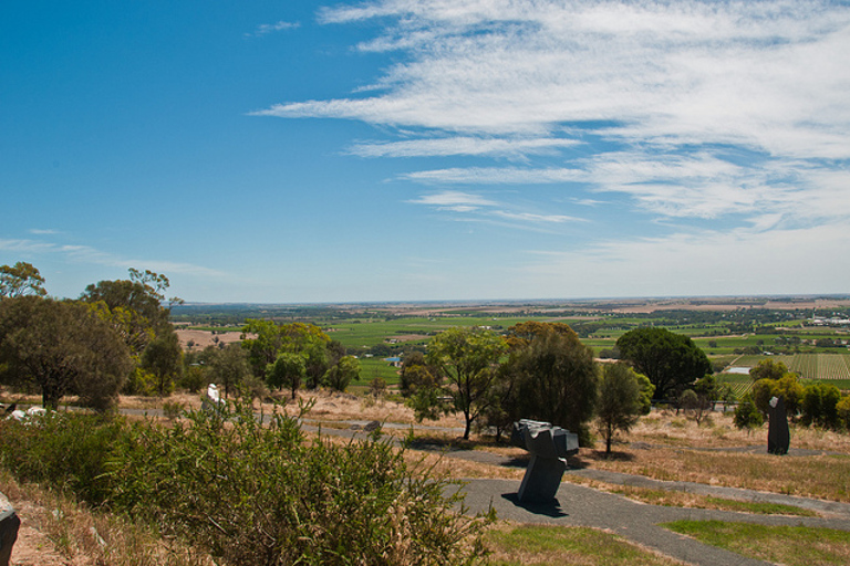 Excursion d&#039;une journée dans la région de BarossaLe meilleur de la Barossa