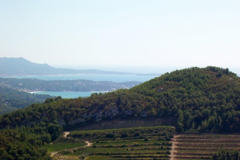 Marseille: Vieux Port & Weinverkostung - Private Tour