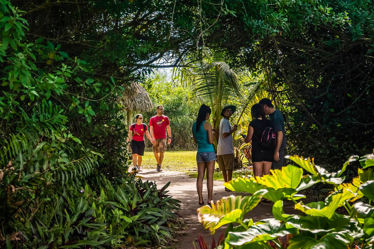 Miami: Excursión en hidrodeslizador por el Parque Safari de los Everglades