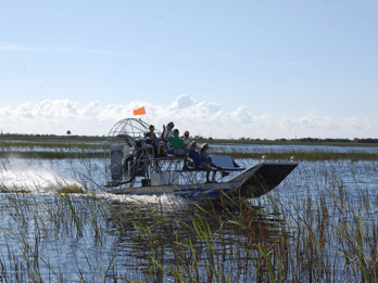 Everglades Eco Adventure: 2 Stunden Sawgrass Recreation Park Everglades Eco Adventure: 2 Stunden Sawgrass Recreation Park