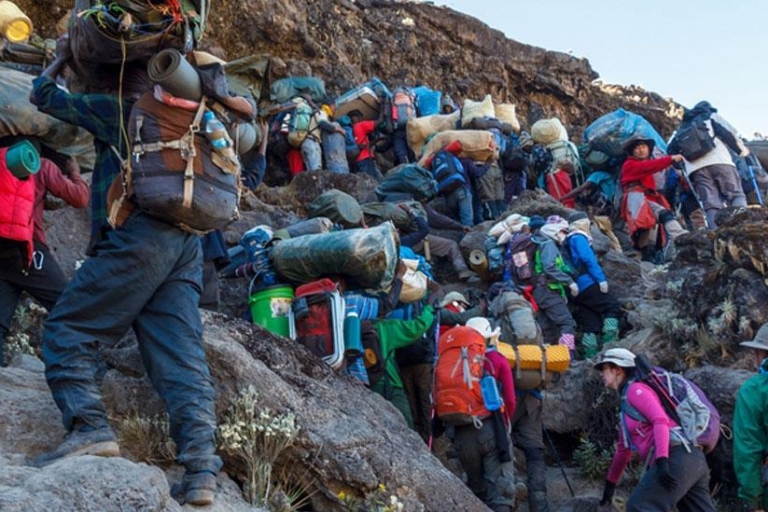8days Mount Kilimanjaro Trekking – Lemosho Route