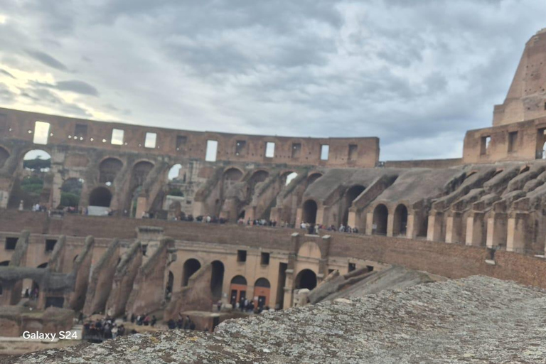 Rome: Colosseum, Roman Forum and Palatine Hill Tour