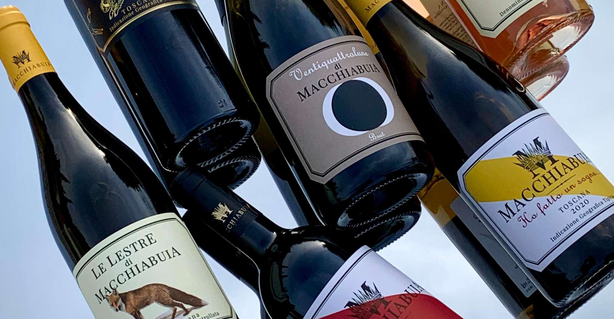 Capalbio: Degustazione di vino e olio di oliva con vista sui vigneti